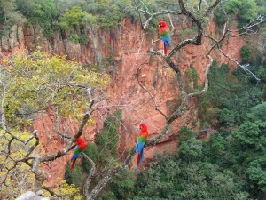 Buraco das Araras, ponto turístico - Jardim MS