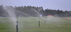 Modelo de irrigação em pastagem