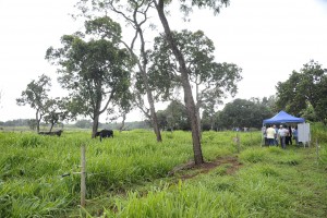 Foto Dia de Campo Spbre Leite 20