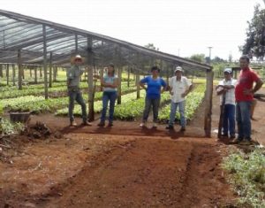 hortacostarica