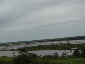 DSC02033