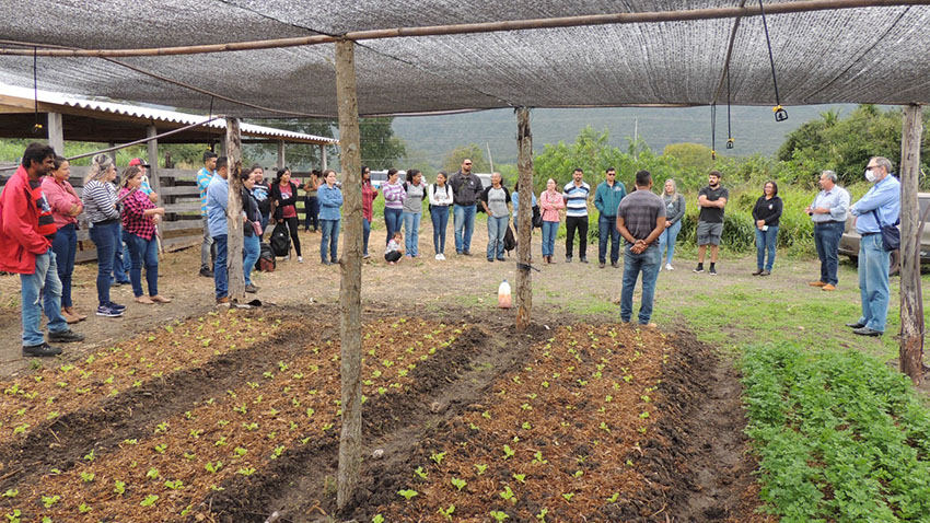 Geografia - Práticas de Campo, Laboratório e Sala de Aula by