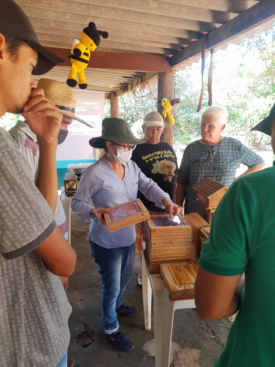 Agraer leva instruções sobre o manejo de abelhas para assentamentos do interior do Estado Agraer leva instruções sobre o manejo de abelhas para assentamentos do interior do Estado