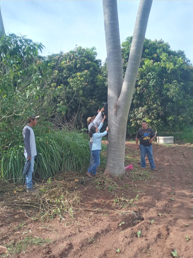 Agraer leva instruções sobre o manejo de abelhas para assentamentos do interior do Estado Agraer leva instruções sobre o manejo de abelhas para assentamentos do interior do Estado