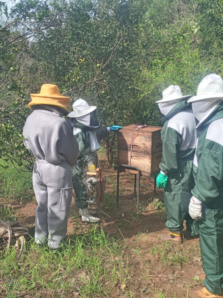 Agraer leva instruções sobre o manejo de abelhas para assentamentos do interior do Estado Agraer leva instruções sobre o manejo de abelhas para assentamentos do interior do Estado